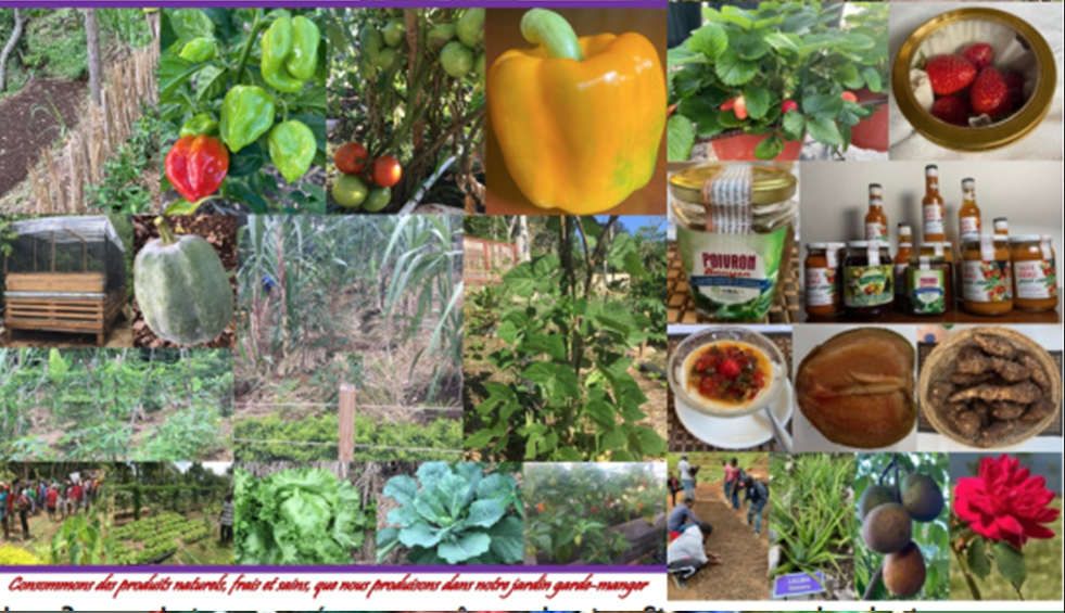 Jardin garde-manger, une technologie régénérative